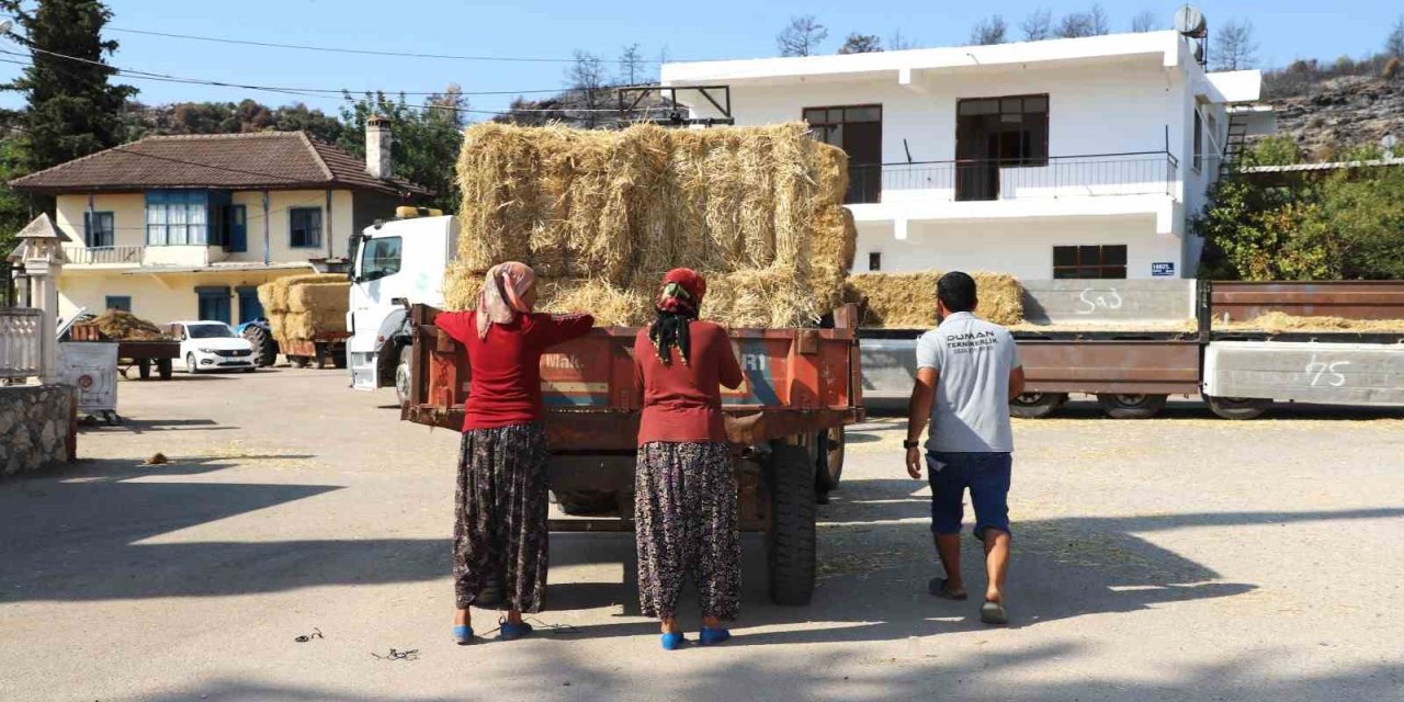 Aksu’da Yangından Etkilenen Bölgelere Saman Desteği