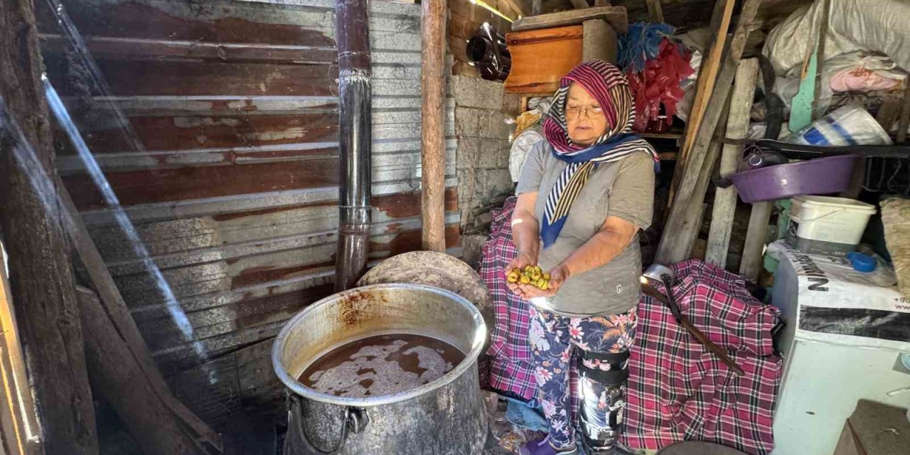 Torosların Taş Eriği Sofralara İniyor 10 Kilo Erikten 1 Kilo Ekşi Çıkıyor Kilogramı 500 Liradan Satılıyor
