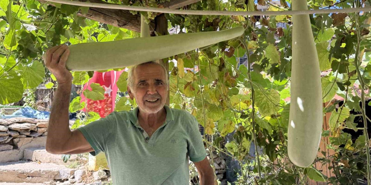 Antalya’da 96 Santimetrelik Su Kabağı Şaşkınlığı: Deneme Amaçlı Ekti, Boyu 1 Metreye Dayandı