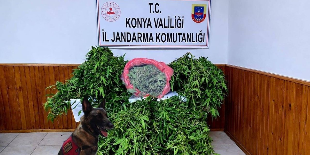 Depo Görünümlü Alana Kenevir Eken Şüpheli Yakalandı
