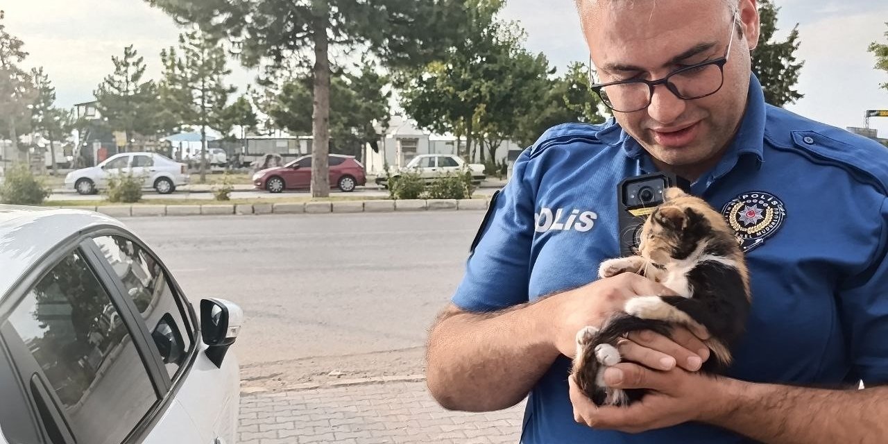 Polis Bu Kez Bir Yavru Kedi İçin Seferber Oldu