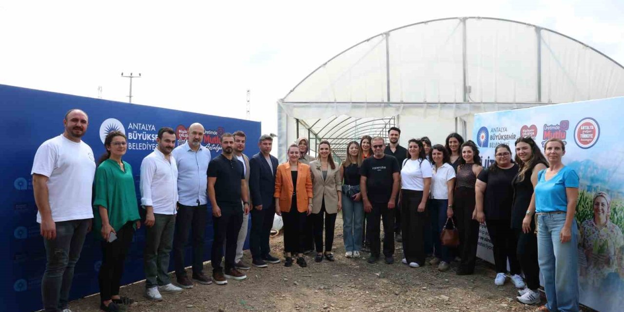 Serikli Üreticilere Don Nöbetini Sonlandırmak İçin Dijital Sensör Desteği