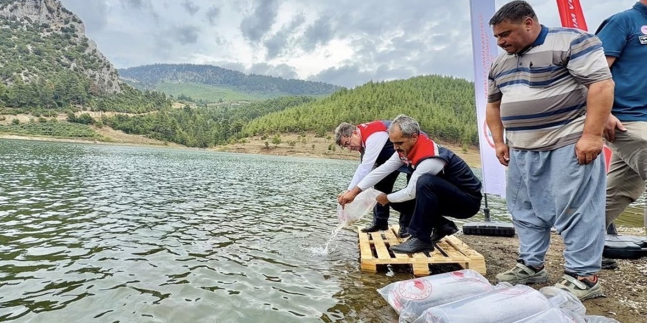 Mersin’de 17 Göl Ve Gölete 347 Bin Yavru Sazan Bırakıldı