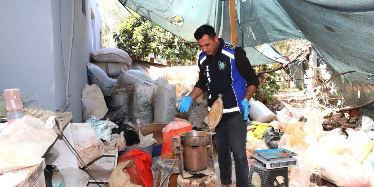 Antalya’da Merdiven Altı İşletmeye Denetim: Yarım Ton Keçiboynuzuna El Konuldu