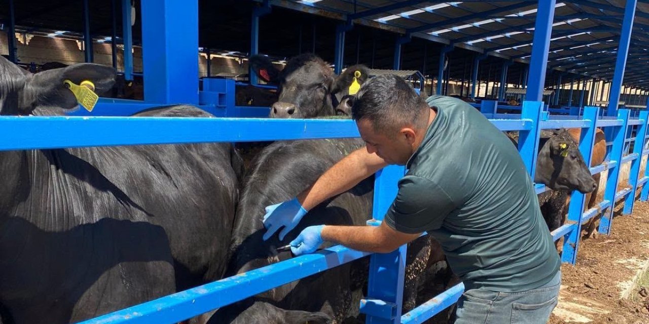 Hayvan Sağlığı İçin İşletmeler Tek Tek Geziliyor