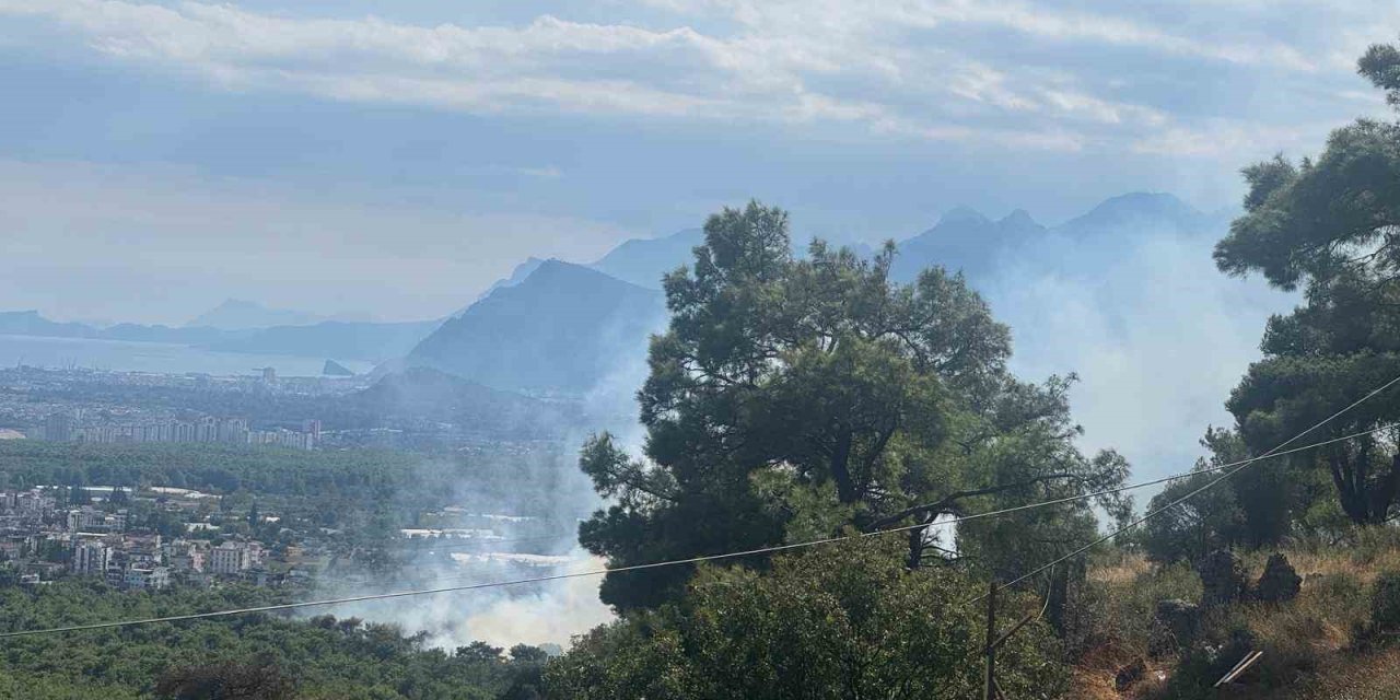 Antalya’da Orman Yangını