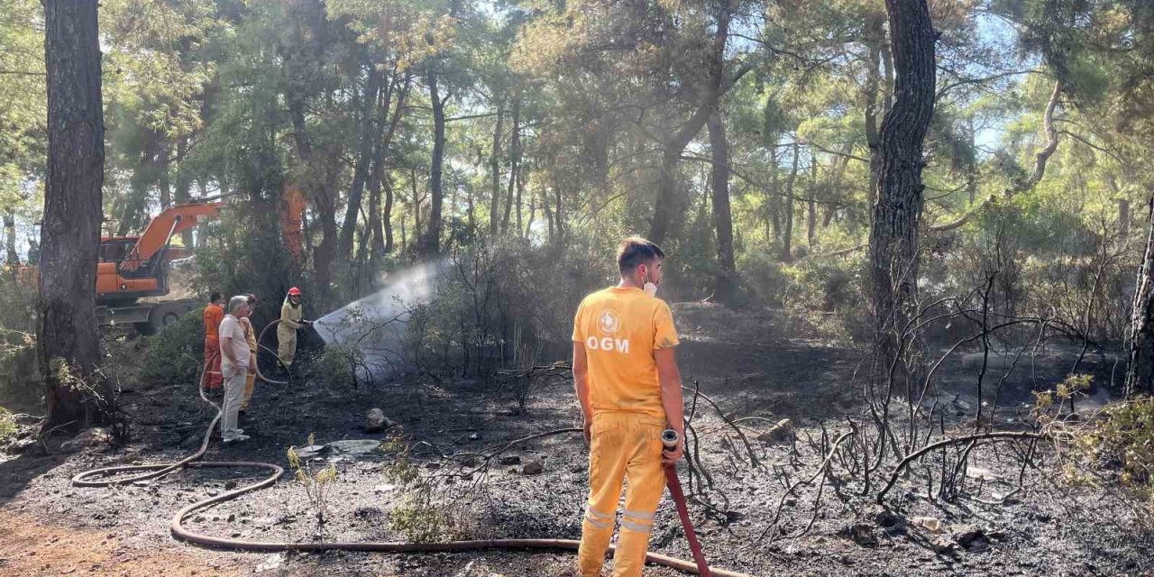 Antalya’da Çıkan Orman Yangın Kontrol Altına Alındı