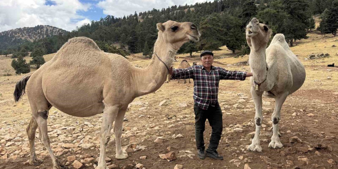 Son Deveci Sarıkeçili: 73 Yaşında Atalarının Geleneğini Yaşatıyor