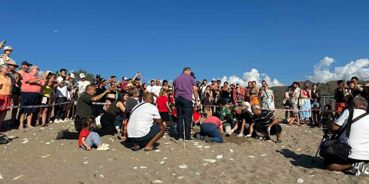 Kemer’de Son Caretta Caretta Yuvası Açıldı