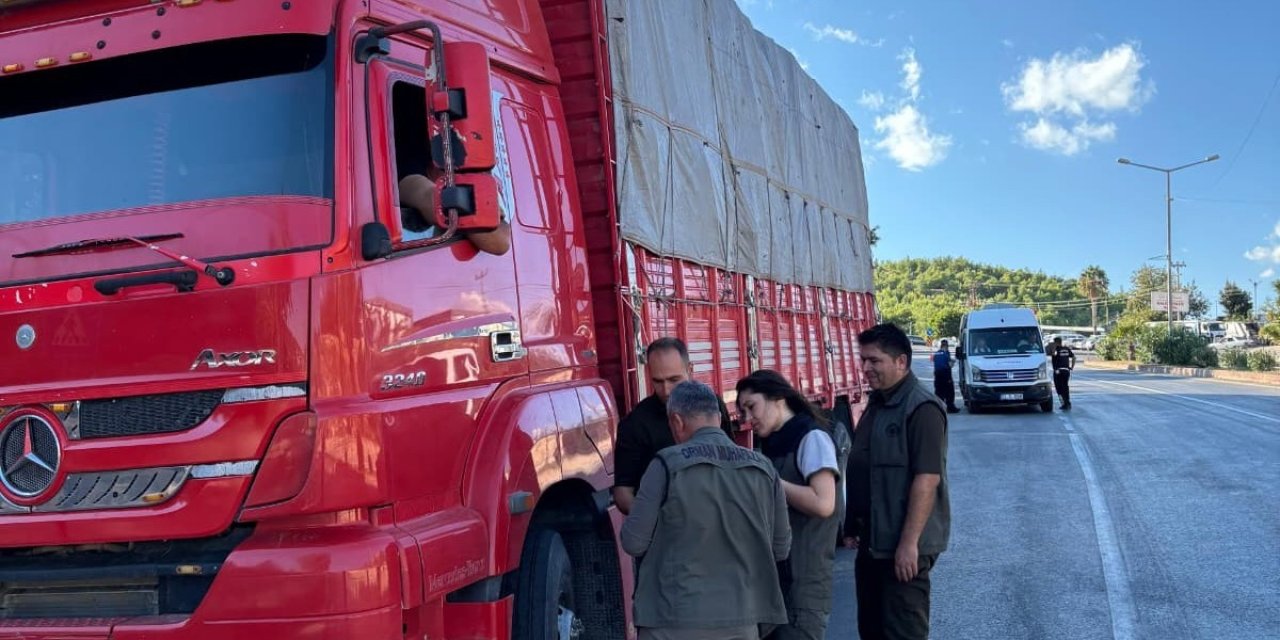 Mersin’de Orman Suçlarına Karşı Yol Kontrolü