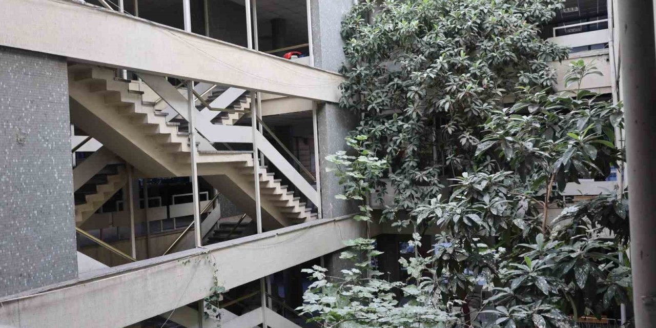İş Hanının Ortasındaki Ağaçlar Dikkat Çekiyor