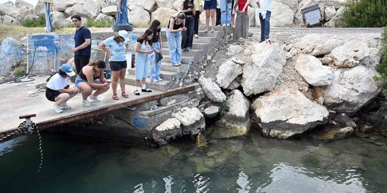 Mersin’de Biyolojik Çeşitlilik Mınka İle Kayıt Altına Alınıyor