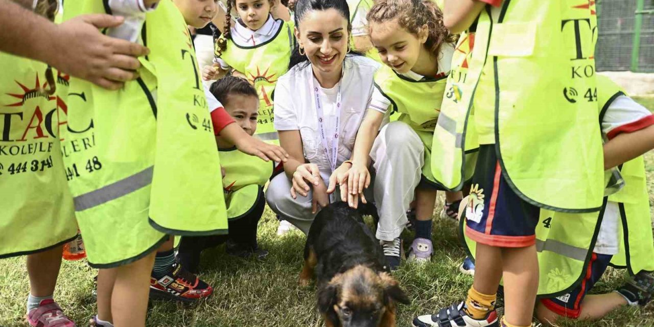 Muratpaşa’da 2026’da 287 Sokak Hayvanı Yeni Yuvasına Kavuştu