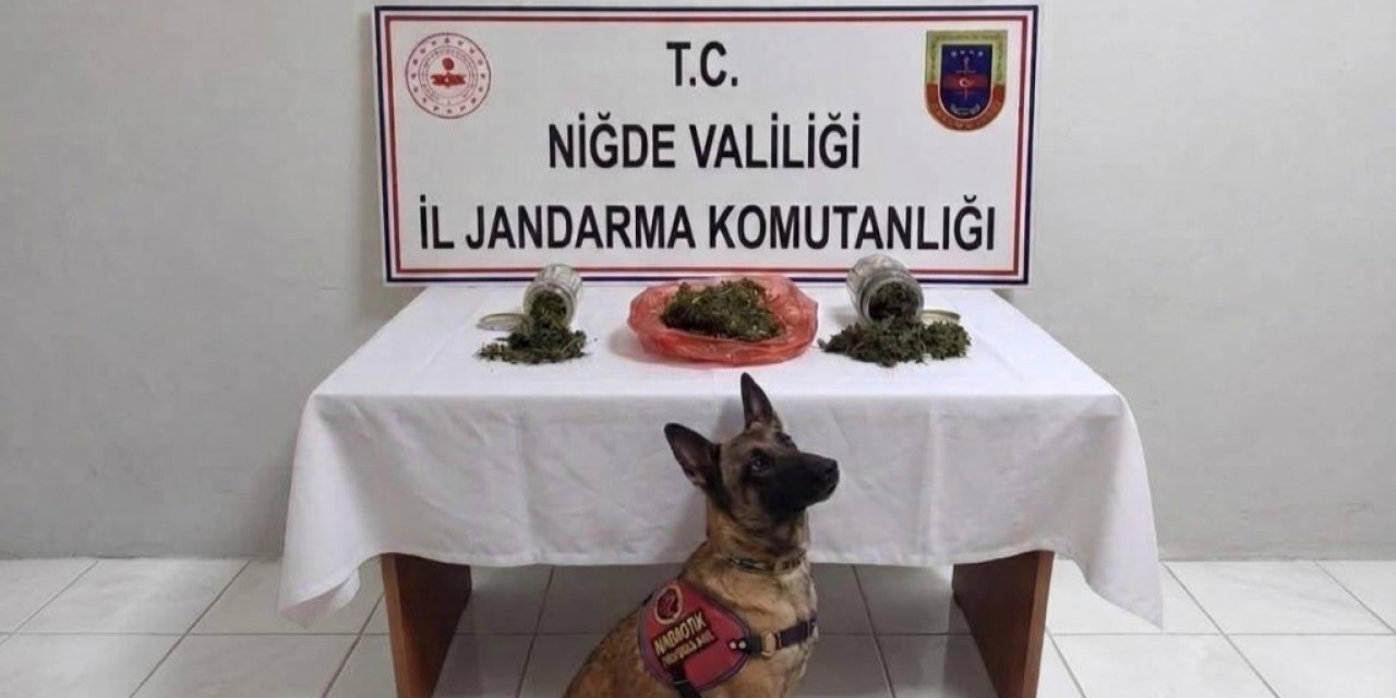 Niğde’de Bir Haftada 51 Aranan Şahıs Yakalandı