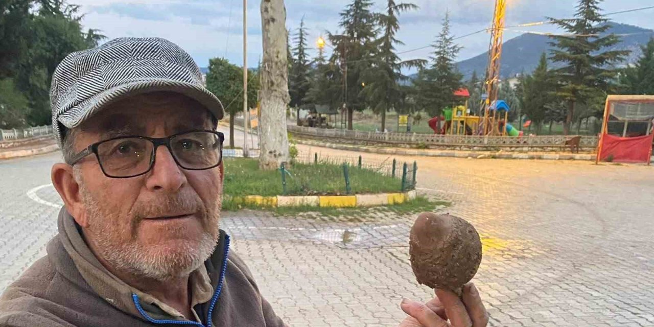 Bulduğu Mantar Boyutuyla Şaşırttı