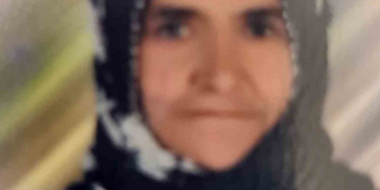 Tarsus’ta Otomobilin Çarptığı Yaşlı Kadın Hayatını Kaybetti