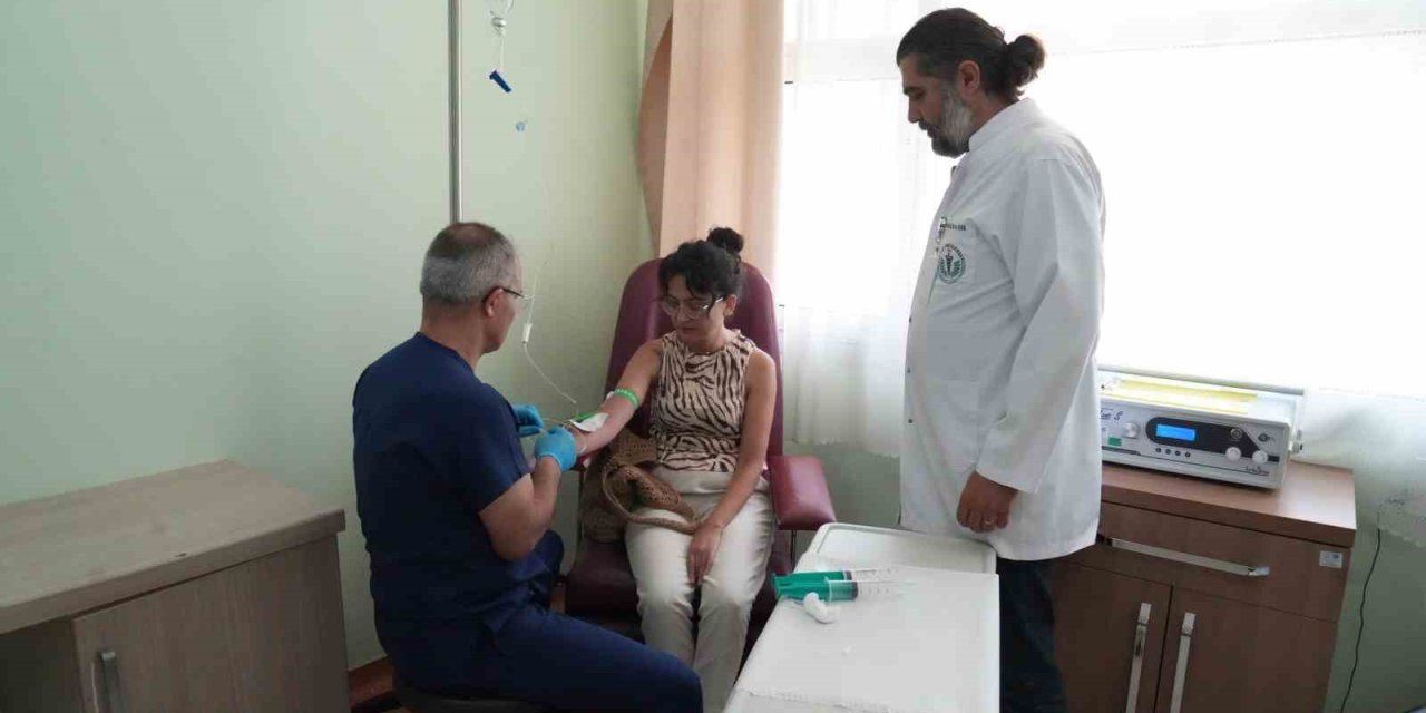 Modern Tıbba Geleneksel Destek