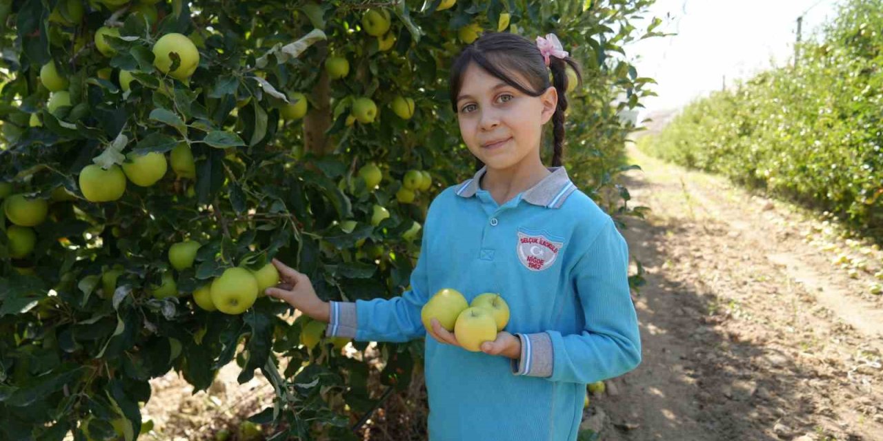 Niğde’de Çocuklar Tarımsal Üretim Süreçlerini Yerinde Öğreniyor