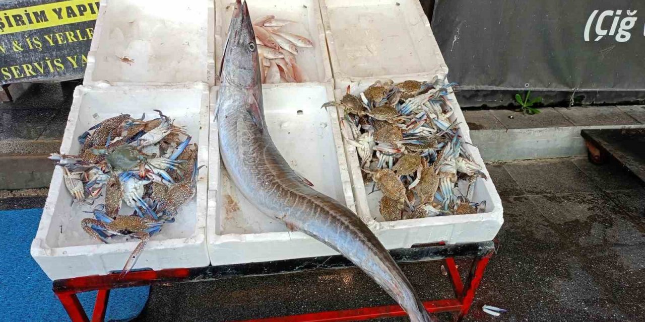 Akdeniz’de 12 Kilogramlık Ceylan Balığı Yakalandı