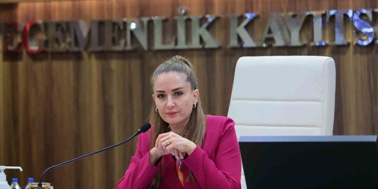 Başkan Vekili Özdemir: "altıntaş Çanağında Biriken Suyu Denize Ulaştırmak İstiyoruz"