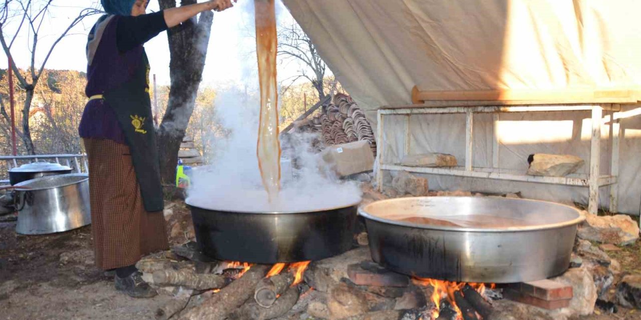 5 Kilo Kozalak 1 Kilo Pekmeze Dönüşüyor ,kilogramı 500 Liradan Satılıyor