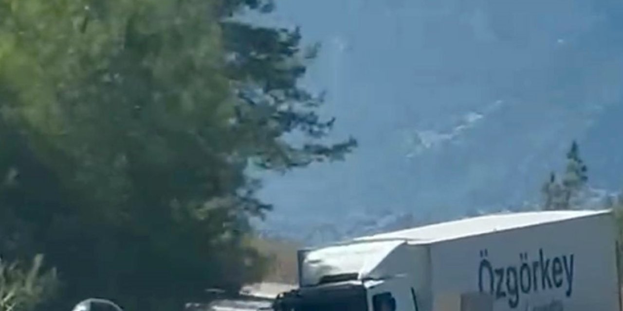 Cip İle Kamyon Kafa Kafaya Çarpıştı: Çinli Turist Hayatını Kaybetti