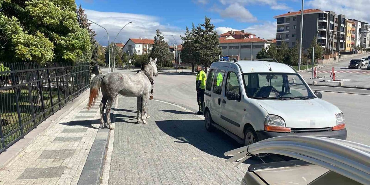 Karaman’da Firari Atın Otomobile Çarptığı Anlar Kameraya Yansıdı
