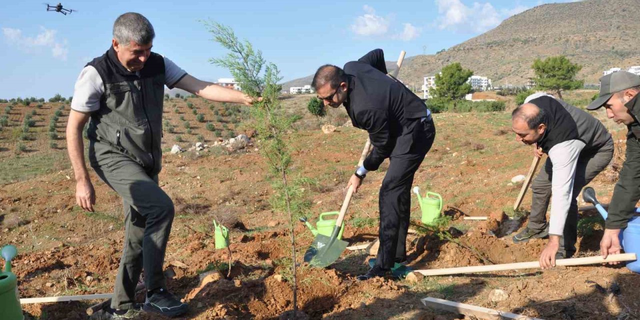 Silifke’de Şehit Savcı Mehmet Selim Kiraz Hatıra Ormanı Yeniden Yeşilleniyor
