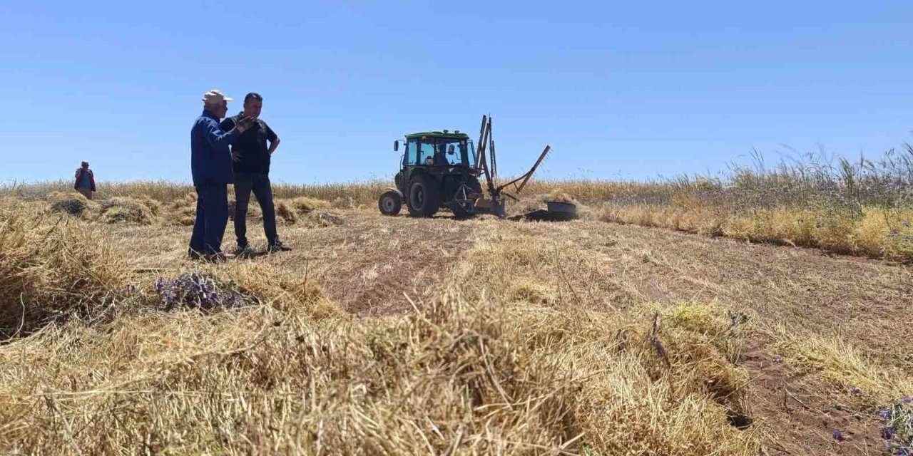 Beyşehir’in Kırmızı Altını Avrupa Ve Orta Doğu Yolunda