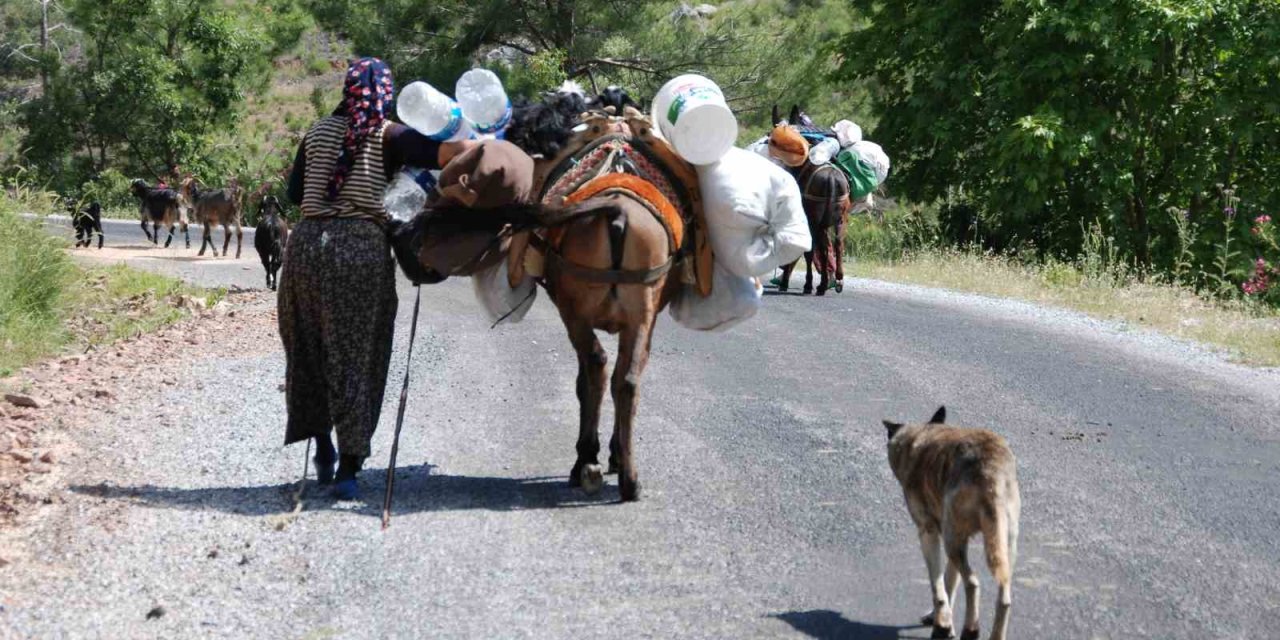 Yörüklerin Toroslar’dan Sahile Dönüş Yolculuğu Başladı