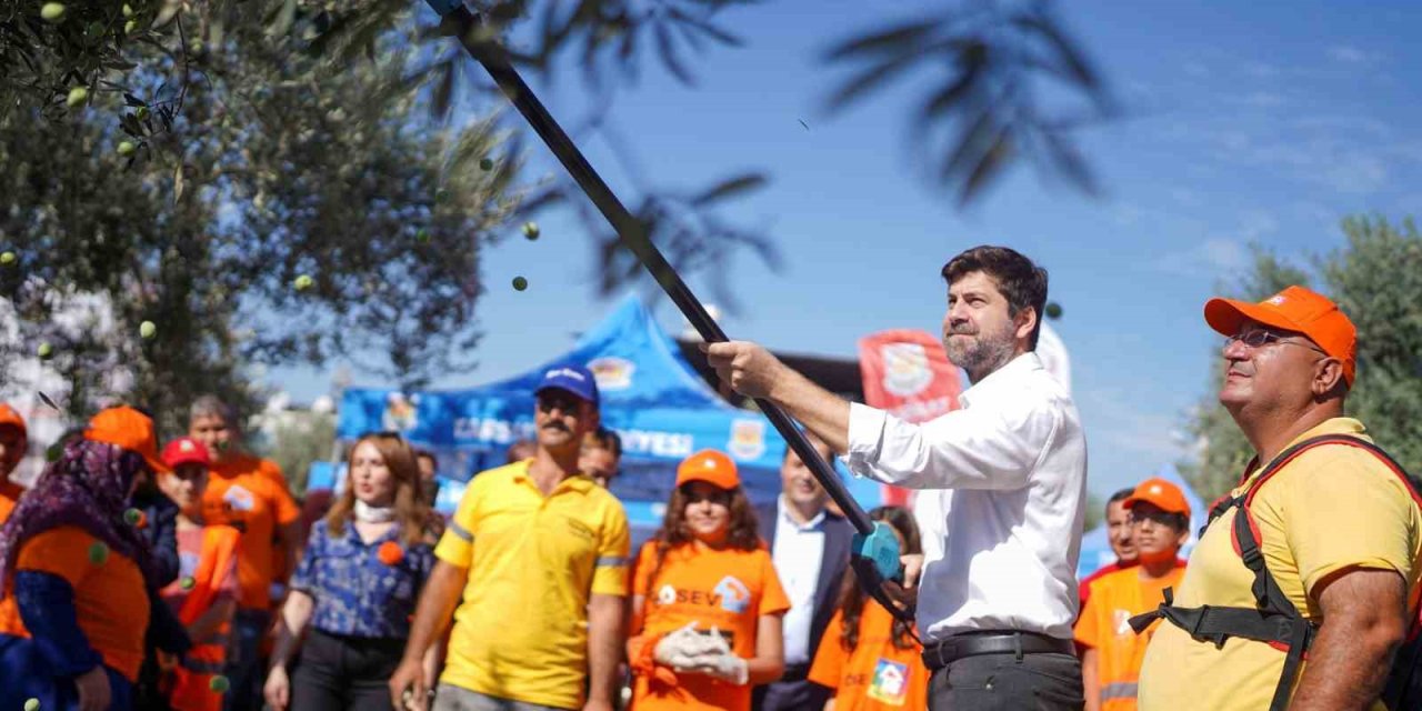 Tarsus’ta Zeytinler Lösemili Çocuklar İçin Toplandı