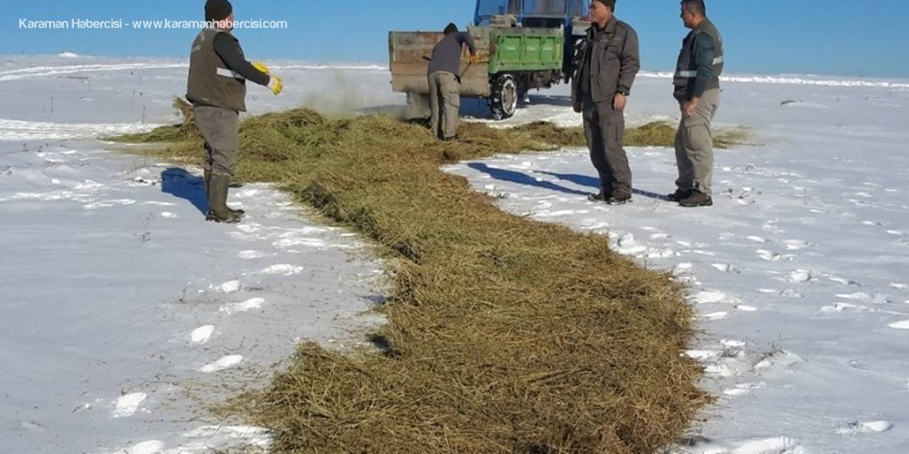 Konya’da Yaban Hayvanları İçin Yemleme Çalışması