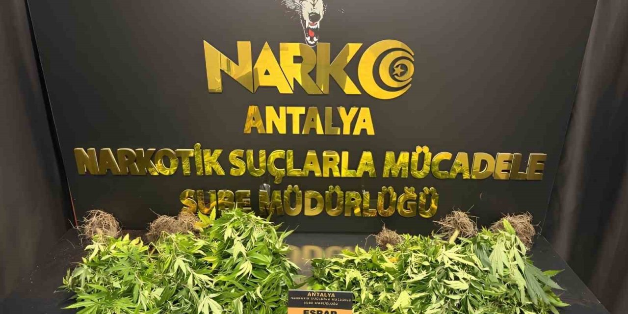 Antalya’da 32 Operasyonda 28 Bin 519 Sentetik Ecza Ele Geçirildi
