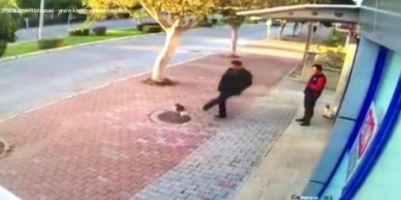 Mama Bırakılmasına Tepki Gösterip Kedileri Tekmeleyen Şüpheli Serbest Bırakıldı