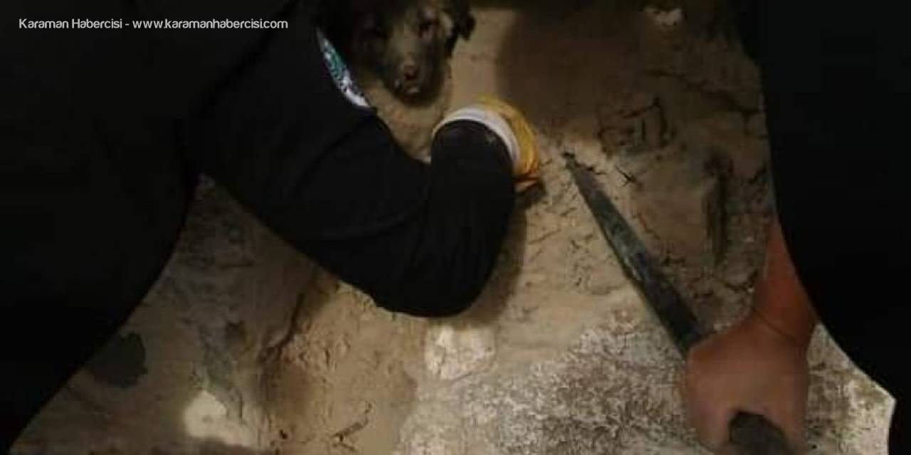 Evin Dış Duvarına Sıkışan Köpeği İtfaiye Ekipleri Kurtardı