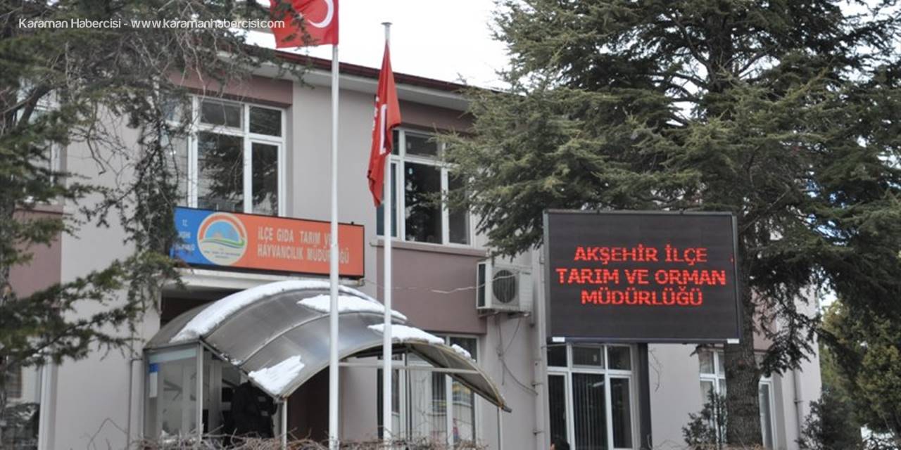 Akşehir'de Köpek Dövüşü Yaptıranlara 257 Bin Lira Ceza Kesildi