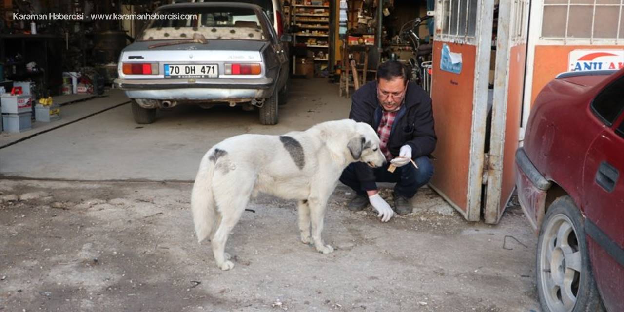 Karamanlı Ustanın Her Sabah Yolunu Gözlüyor
