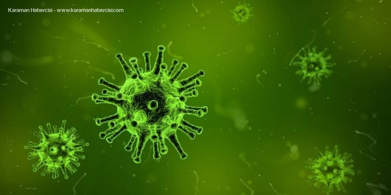 Dünya'nın Virüs İle İmtihanı