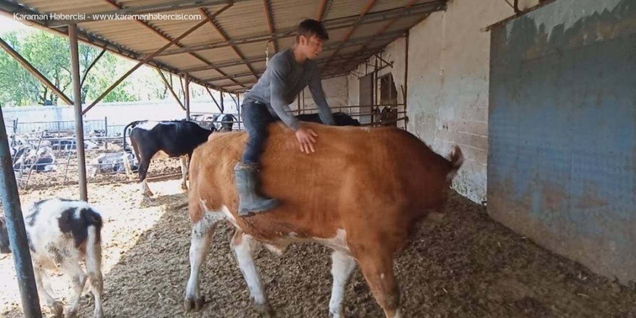 Karaman'dan Korona İle Değişen Gündeme Renkli Haber