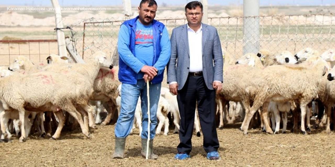 Türkiye’de 53 Milyon Hayvan Üreticisine 1 Milyar 100 Milyon Destek Ödemesi