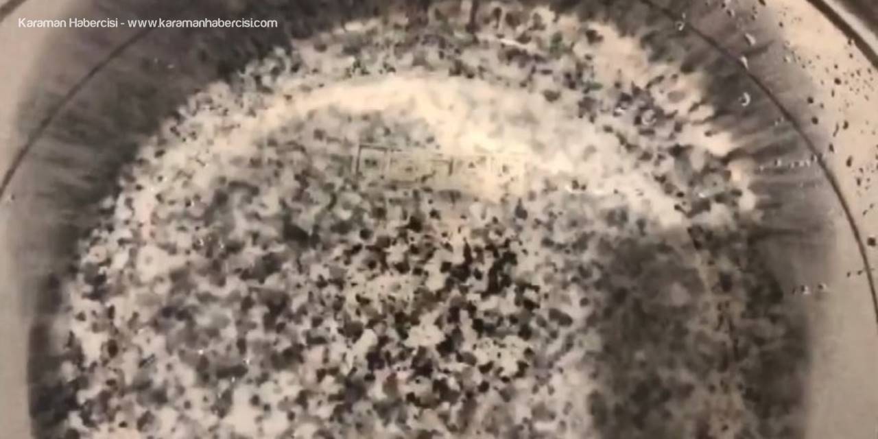 Musluk Filtresi Sinek Yuvası Olmuş