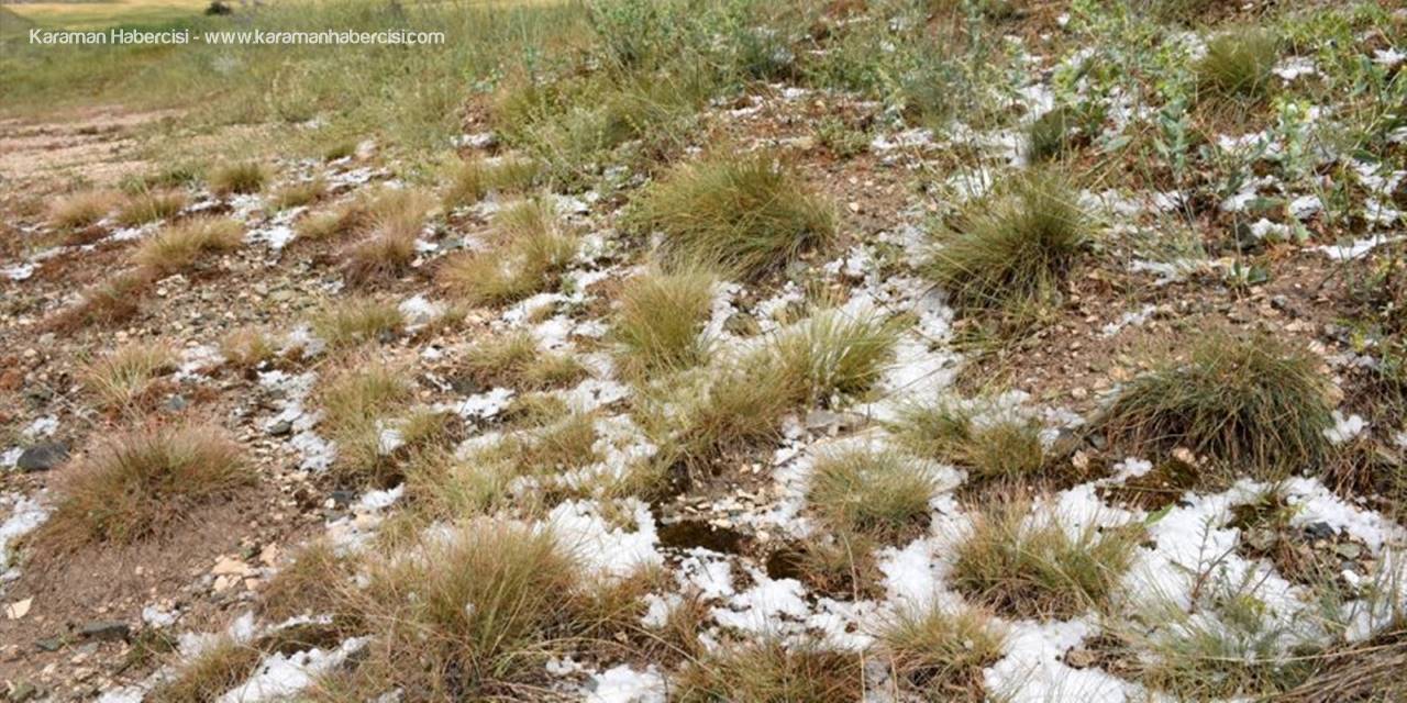 Aksaray'da Etkili Olan Dolu, Ekili Alanlara Zarar Verdi