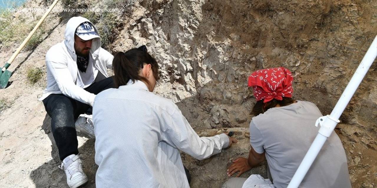 Kayseri'de Fosil Bulunan Alandı Kazı Çalışmaları Yeniden Başladı