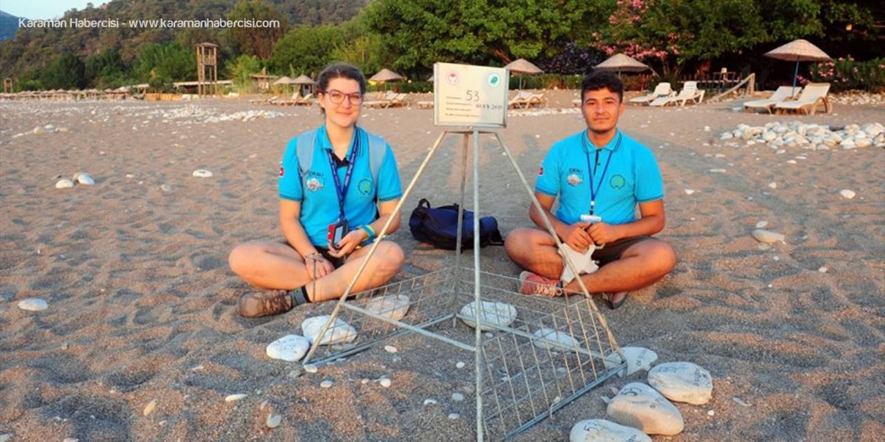 Antalya'da "Caretta Caretta"ların Koruyucuları İş Başında