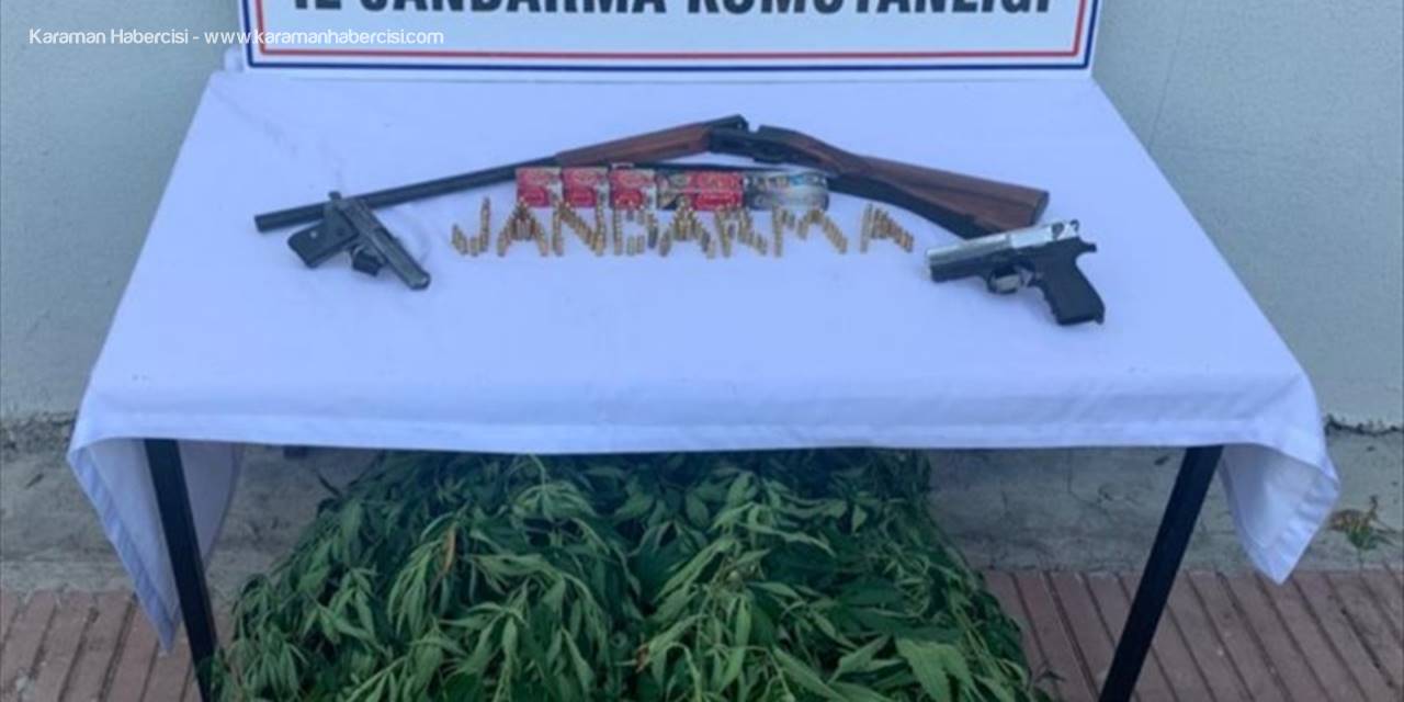 Mersin'de Bahçesinde Hint Keneviri Yetiştiren Şüpheli Gözaltına Alındı