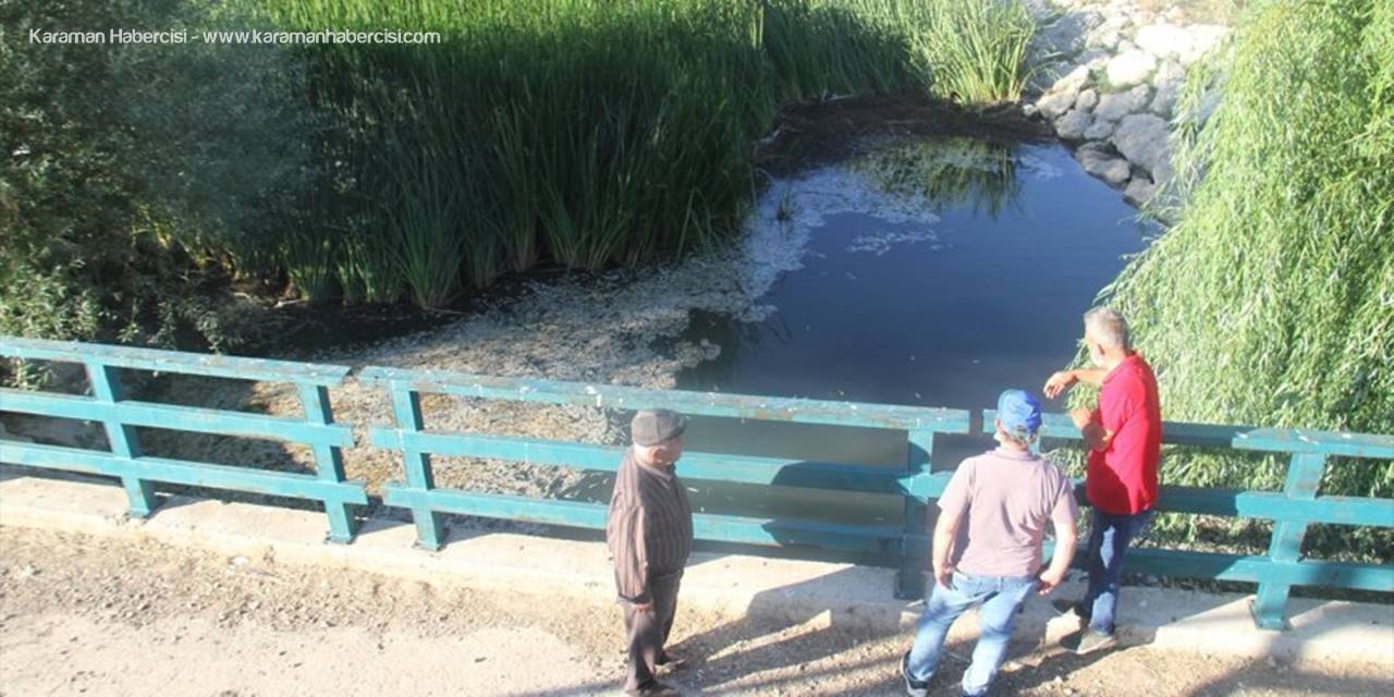 Beyşehir Gölü'ne Dökülen Çayda Toplu Balık Ölümleri