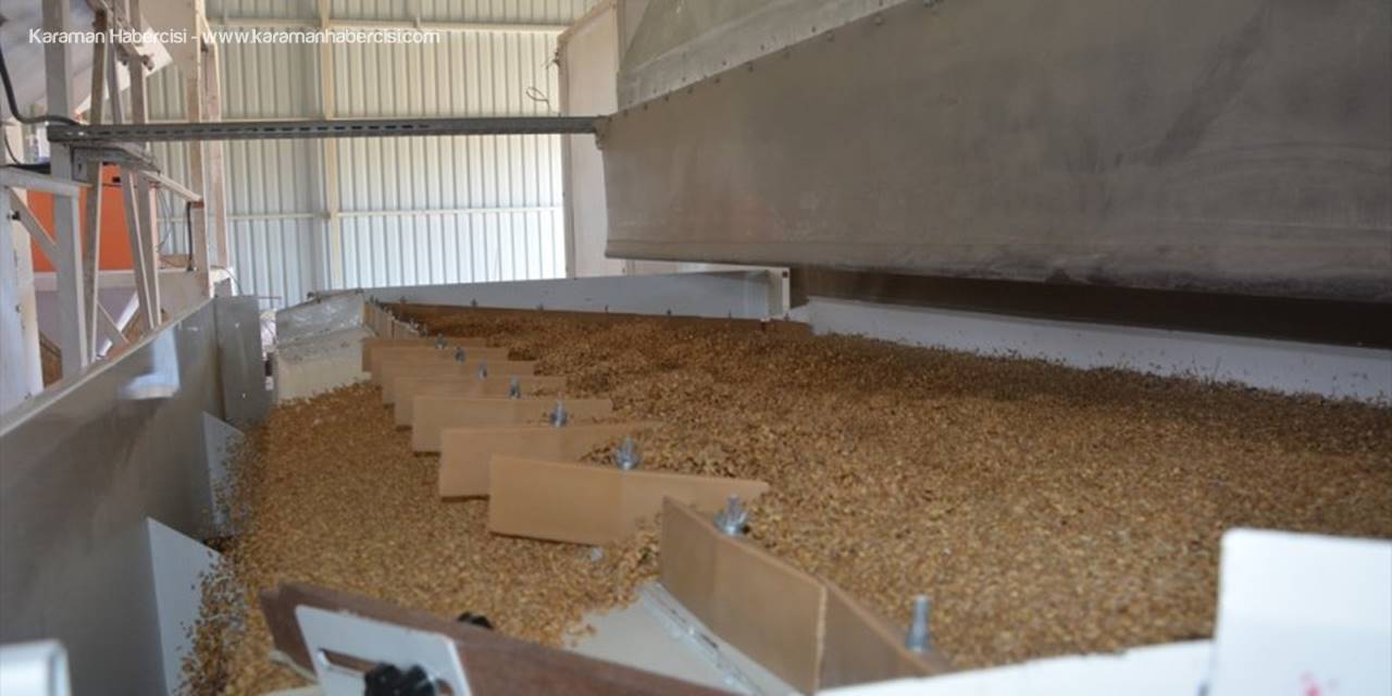 Akyurt Belediyesi'nin Tohum Eleme Tesisi 856 Ton Buğday, Arpa Ve Nohut Tohumu İşledi