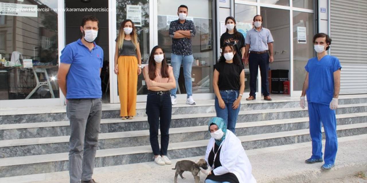 Konya'da Filyasyon Ekipleri Yaralı Yavru Köpek İçin Seferber Oldu