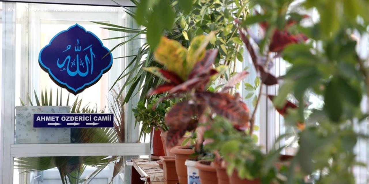 İmamın Çiçek Sevgisi Camiyi "Bahçeye" Çevirdi