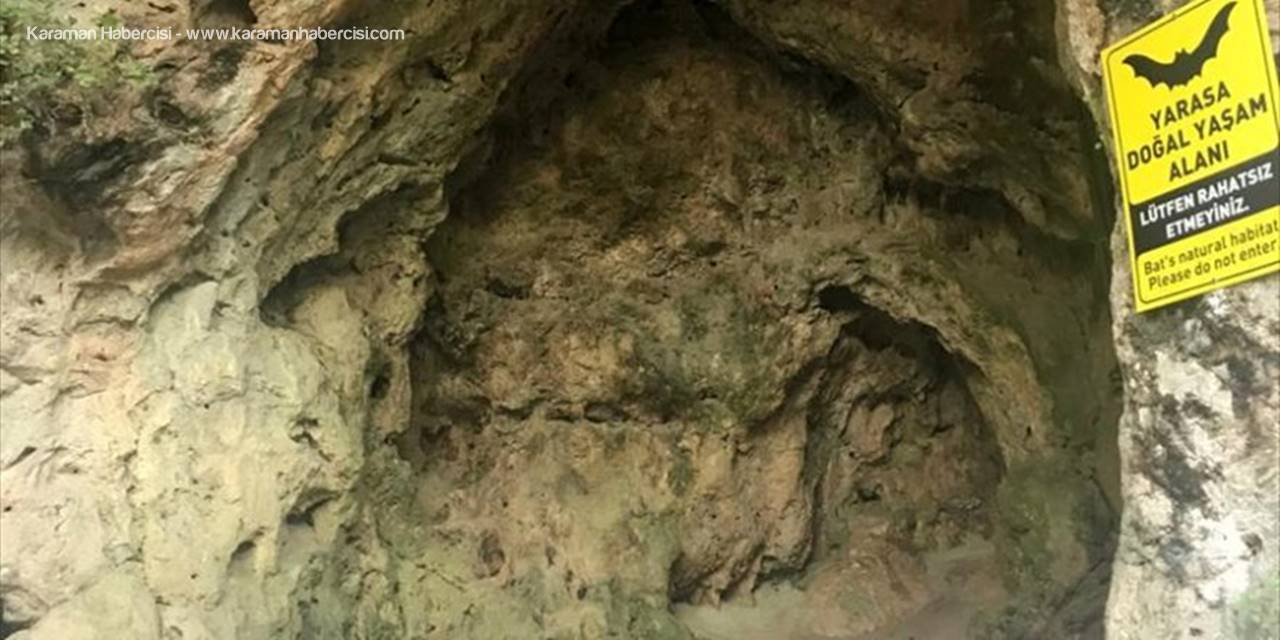 Yarasa Gübreleri Düden Şelalesi'ndeki Meyve Ağaçları Ve Süs Bitkilerinde Verimi Artırdı